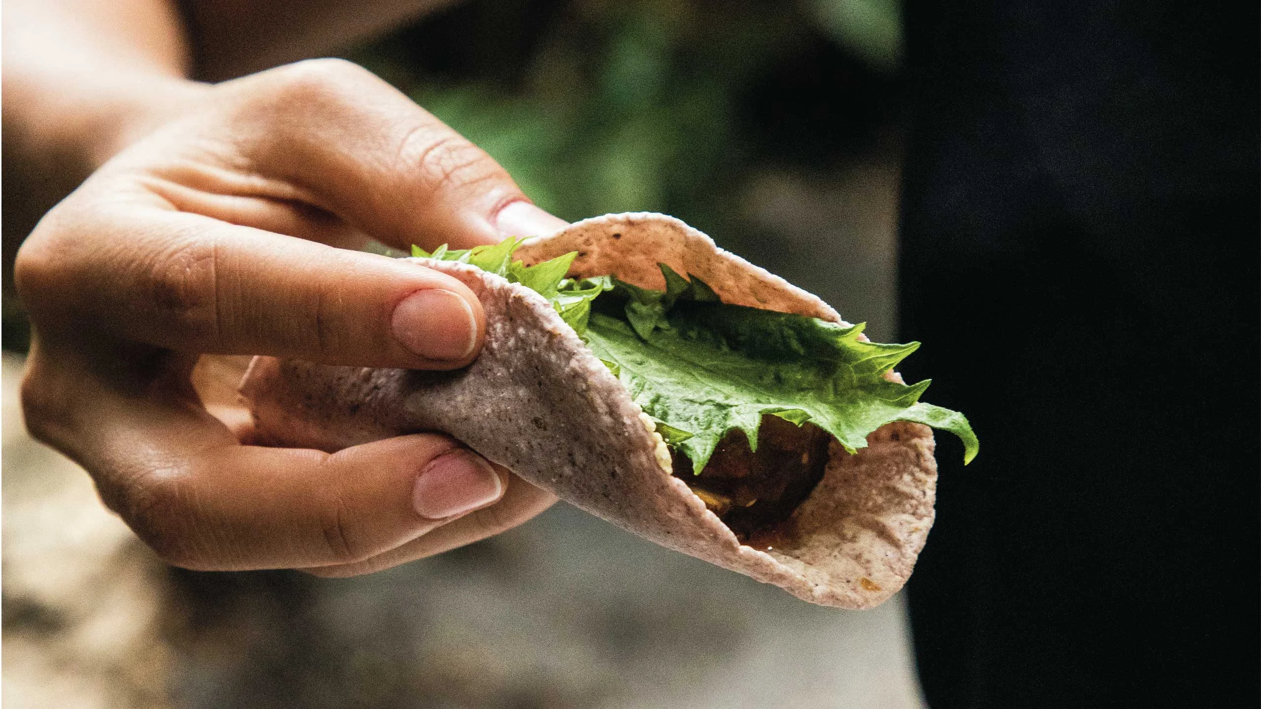 Receta de taco de atún