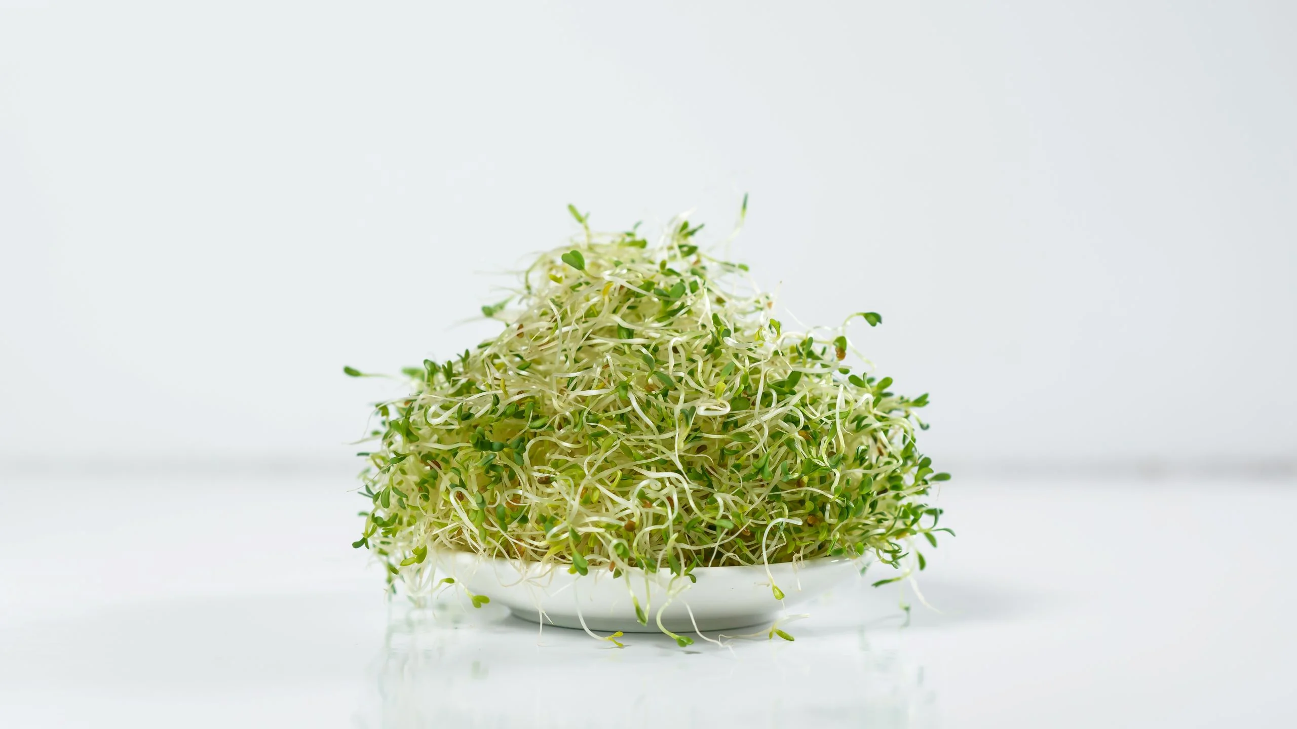 Brotes y germinados: los mejores aliados para una buena digestión