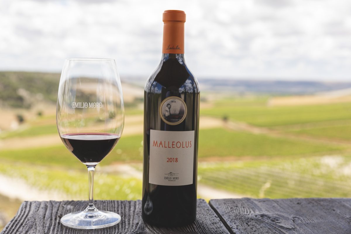 Bodegas Emilio Moro: Un legado que perdura en cada sorbo