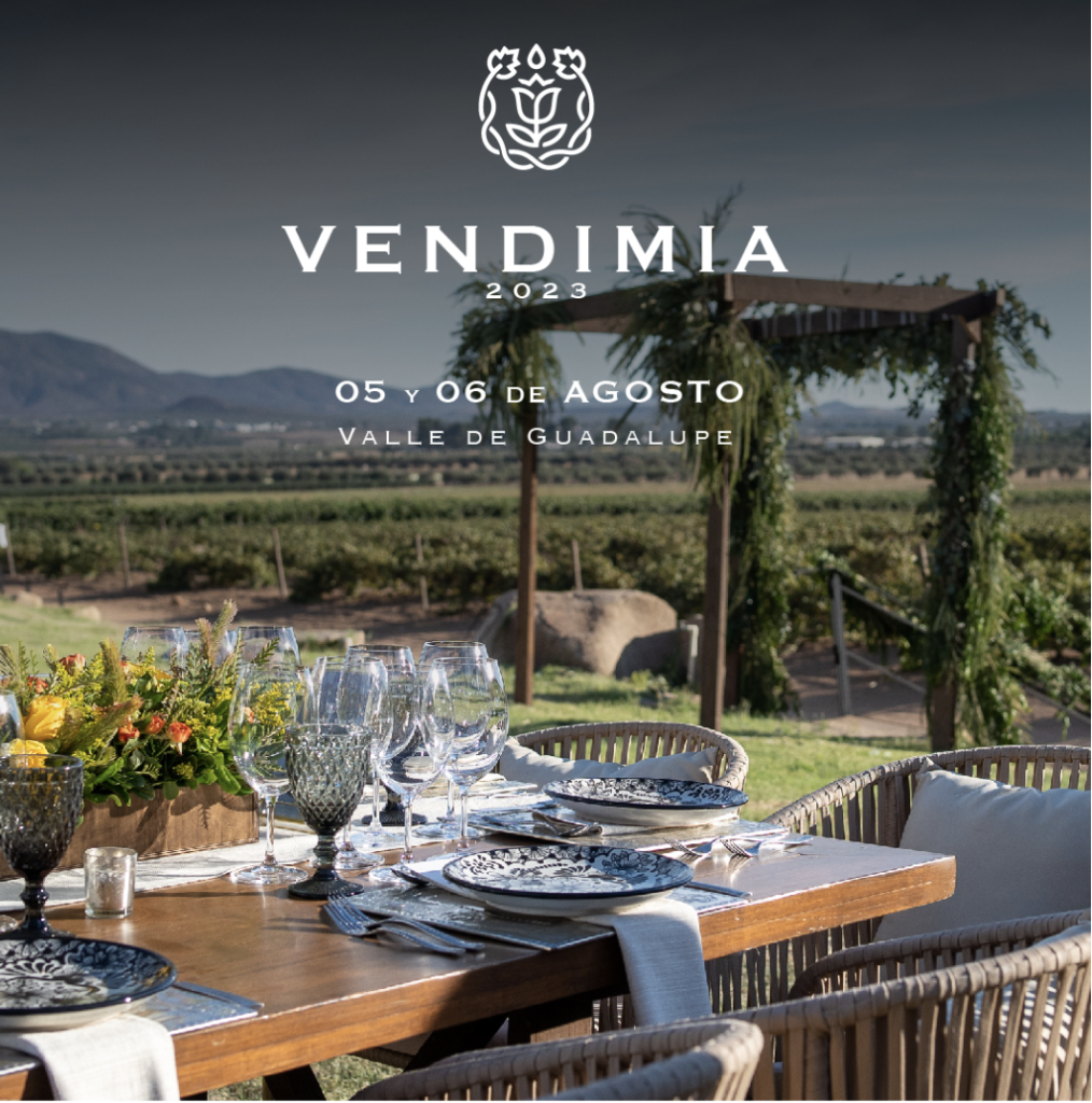 Vendimia-Monte-Xanic
