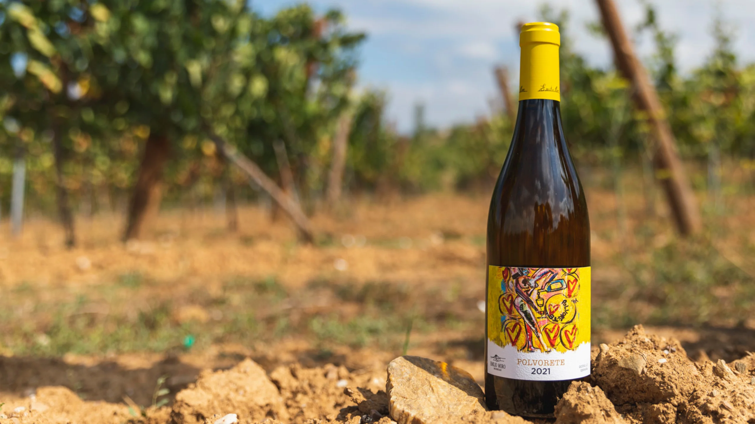 Bodegas Emilio Moro: Un legado que perdura en cada sorbo