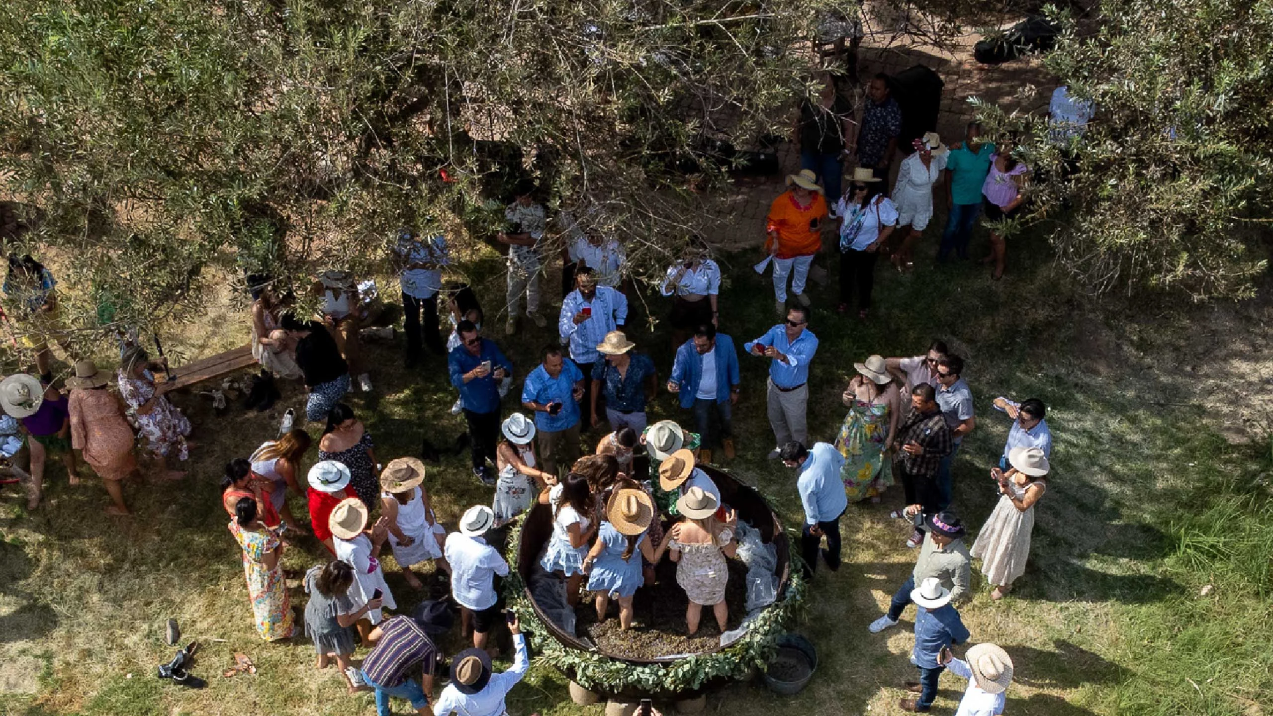 La vendimia que no te puedes perder: Monte Xanic en el Valle de Guadalupe