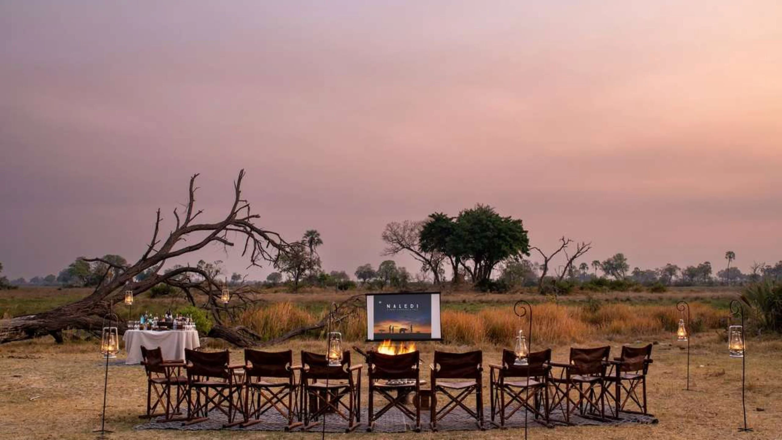 Saca tu lado más ‘foodie’ con Wilderness Safari