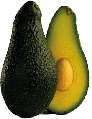 Aguacate Pinkerton