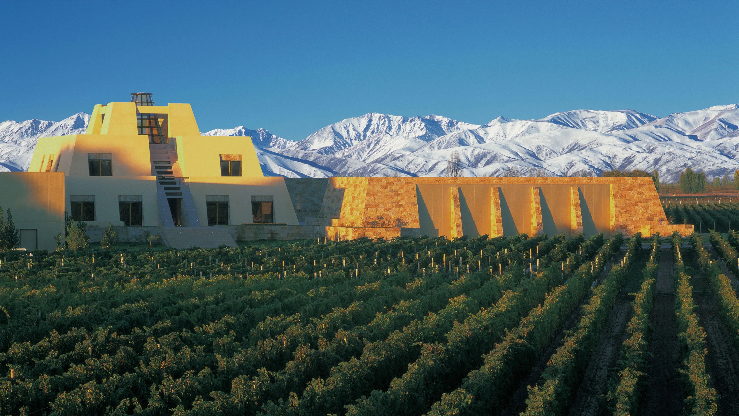 Esta bodega argentina es la más recomendada para visitar en 2023