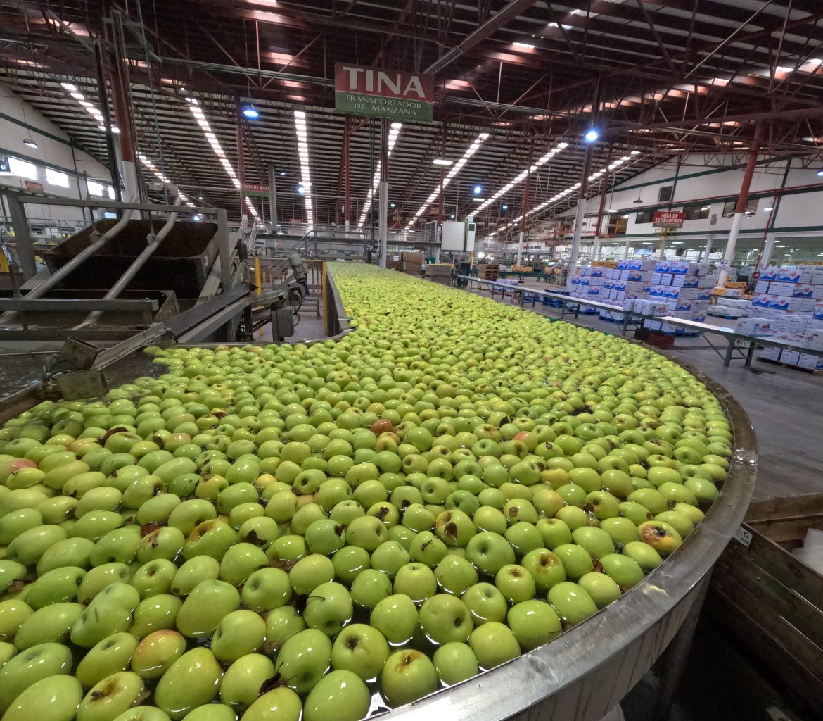 Manzanas La Norteñita