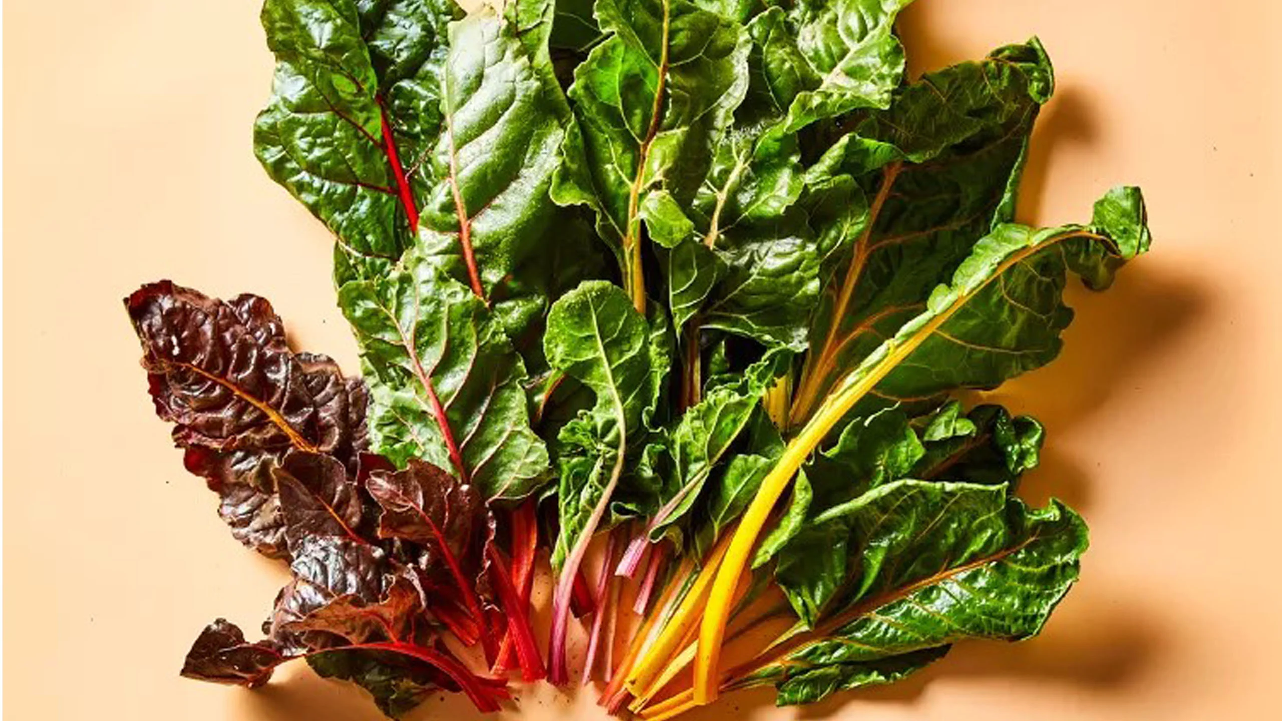 Cultivar acelgas coloridas en casa es más fácil de lo que crees