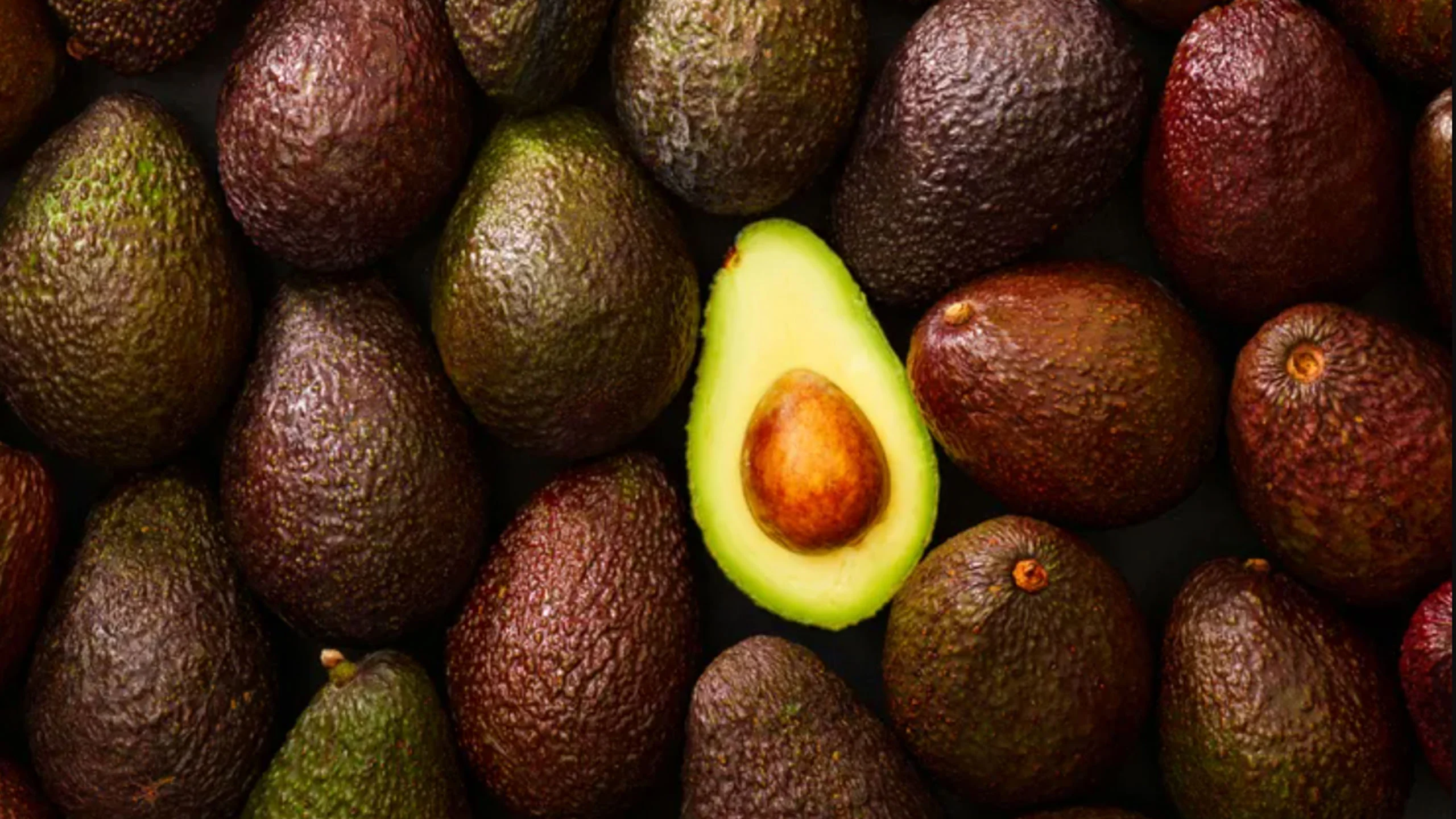 Una nueva variedad de aguacate podría ser la fruta del futuro