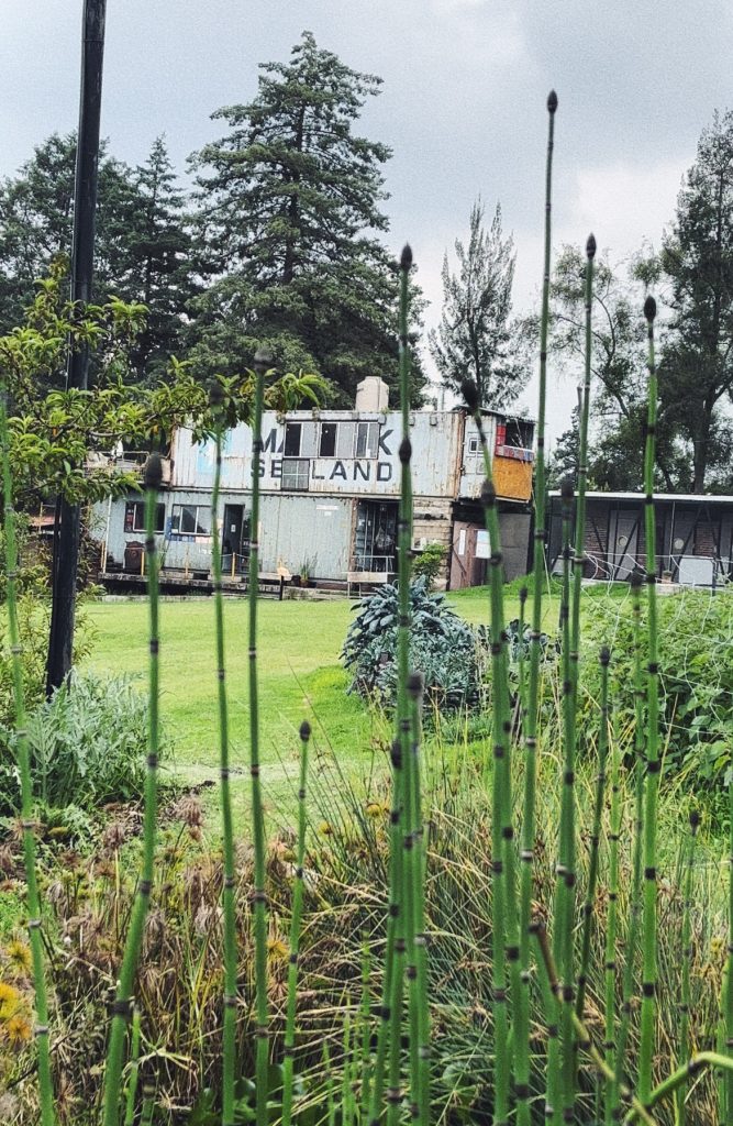Ectagono y BBVA: Un Encuentro Gastronómico en la Naturaleza
