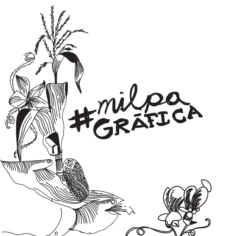 milpa gráfica maíz