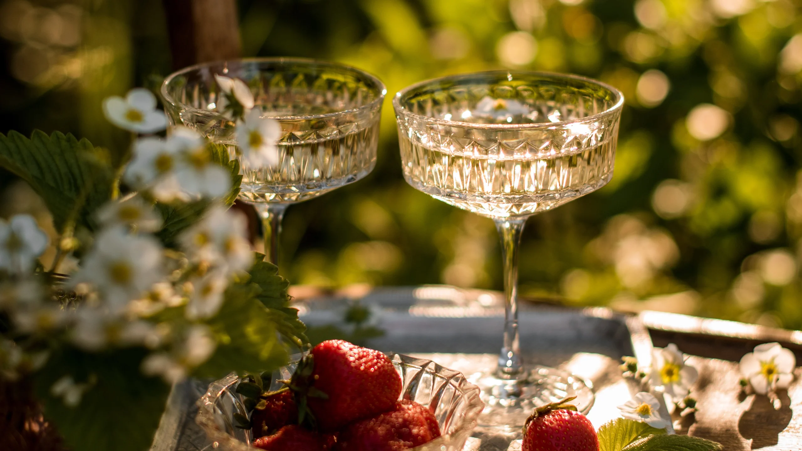 Lo que debes saber del vino prosecco