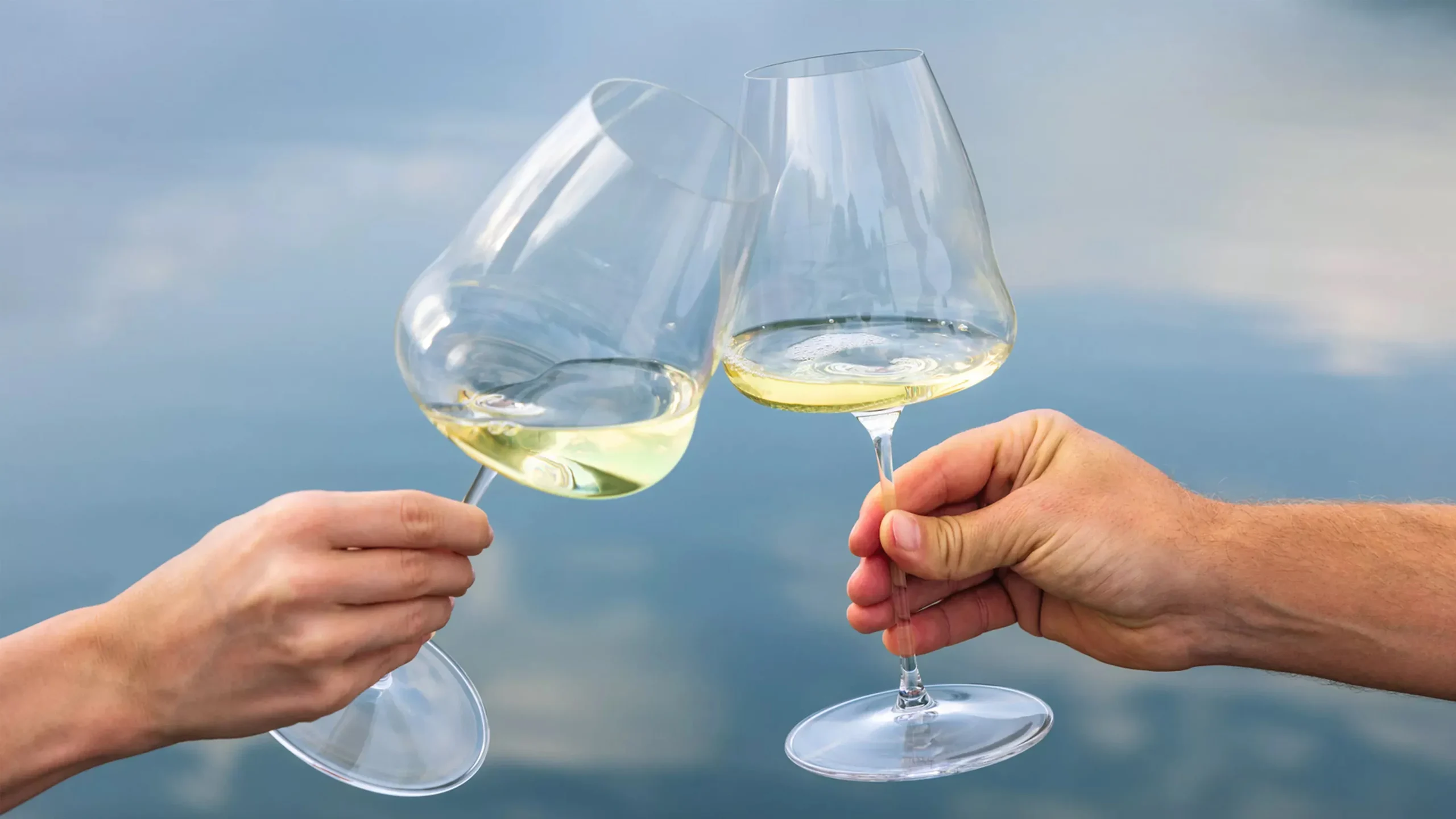Con estas copas le darás alas a tus vinos