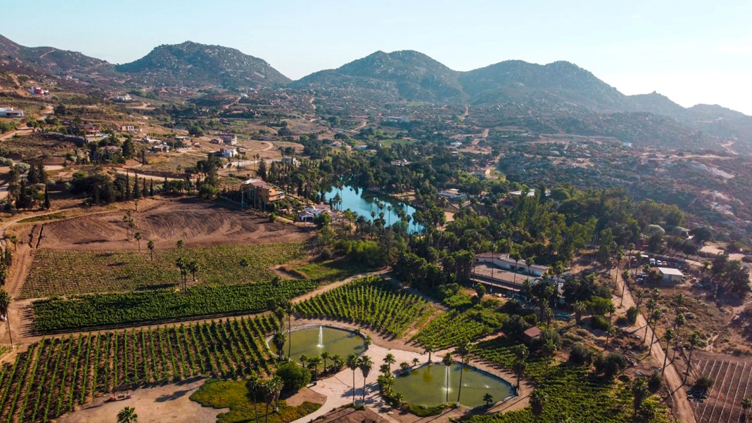 Ruta del vino: 4 bodegas imperdibles en Baja California