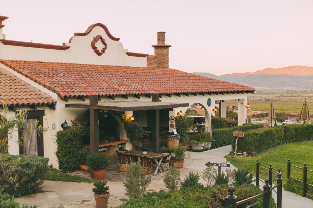 Baja California Viñedos