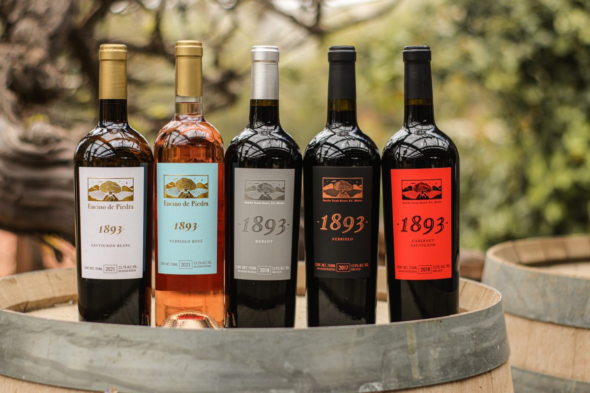 Baja California VIñedos