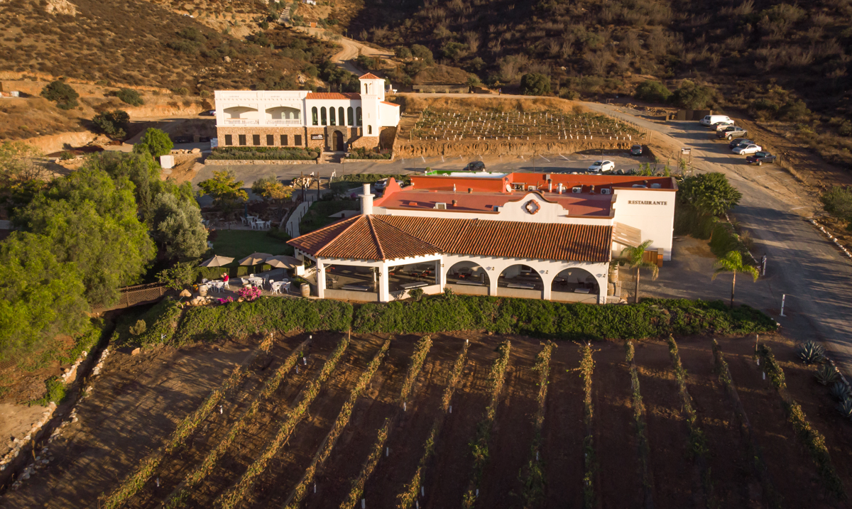 Baja California viñedos