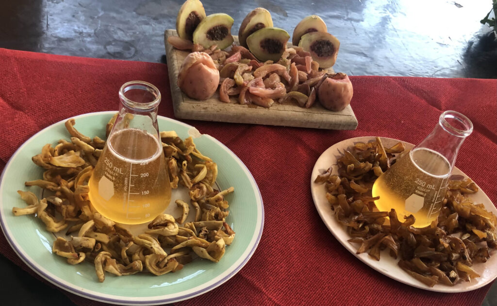huauzontle xoconostle