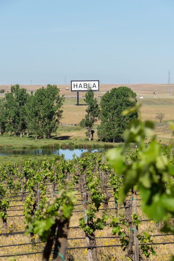 Vinos Habla diseño, sustentabilidad y vino