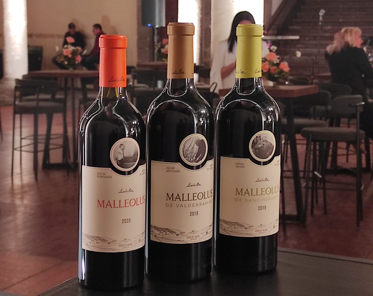 vinos malleolus