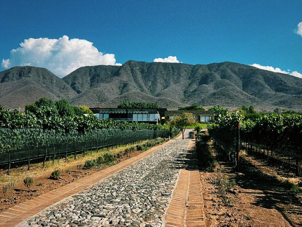 Finca La Estramancia: Vinos a la orilla del Lago de Chapala