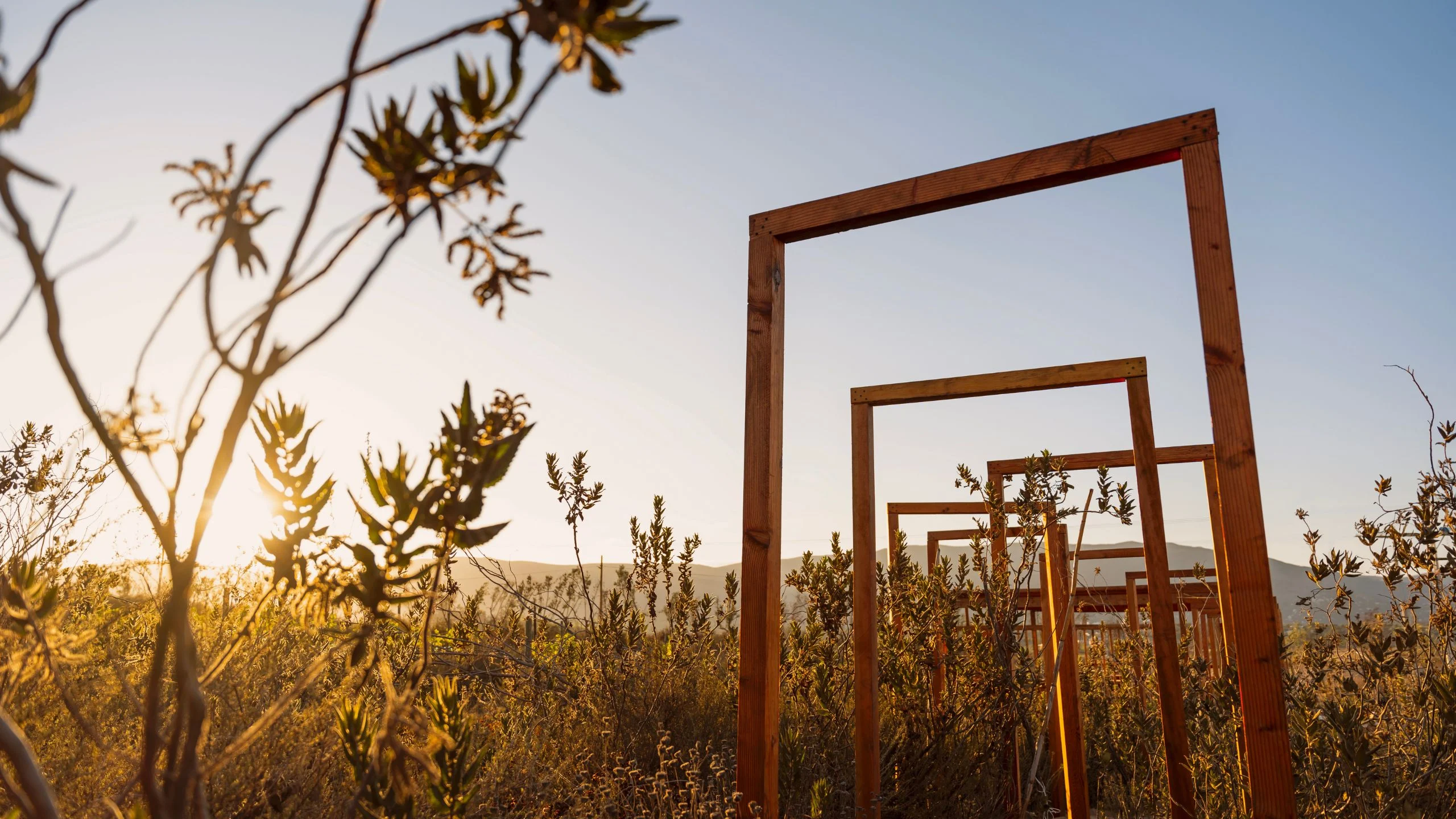 Banyan Tree Veya abrirá sus puertas en Valle de Guadalupe en 2024 Banyan Tree Veya abrirá sus puertas en Valle de Guadalupe en 2024