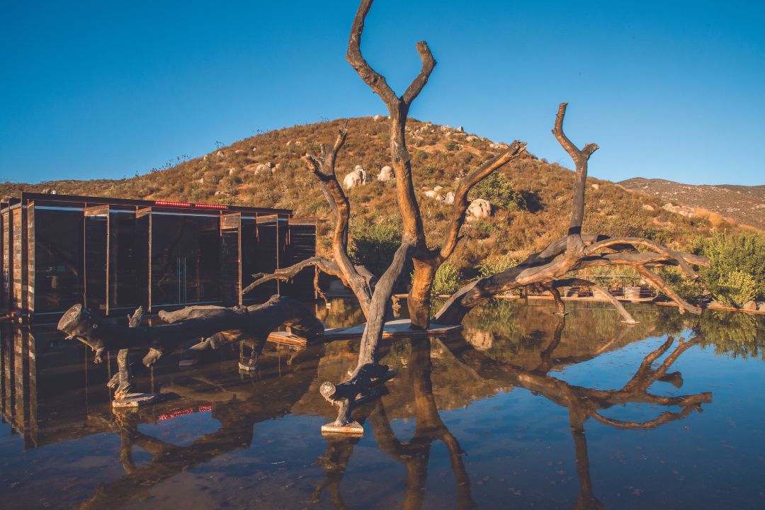 Bruma, Valle de Guadalupe