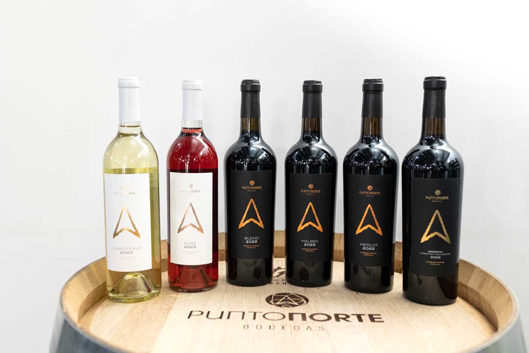 BOTELLAS_bodega-punto-norte