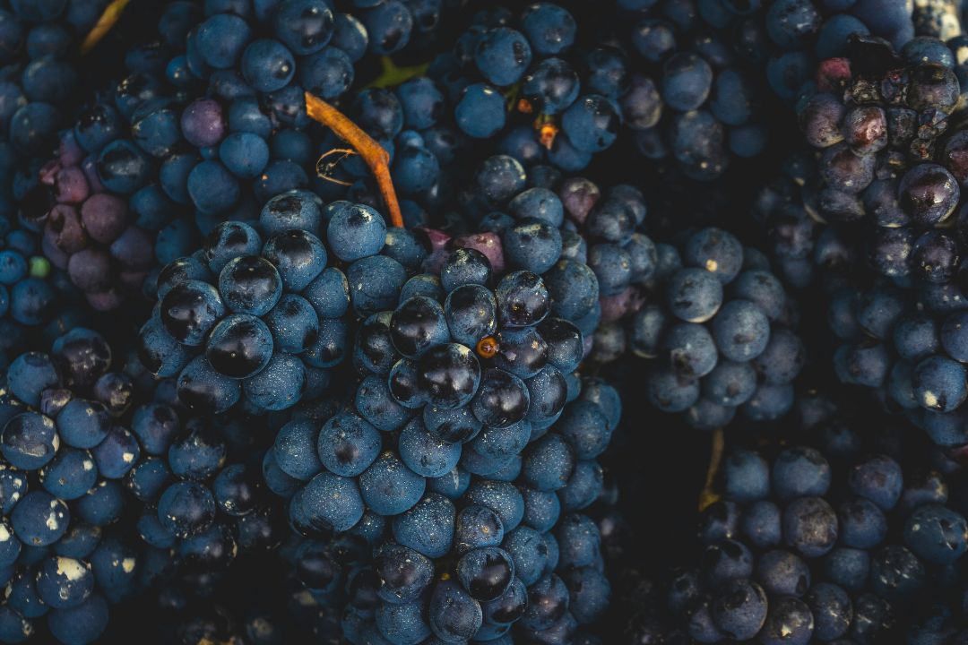 La quercetina está presente en las uvas