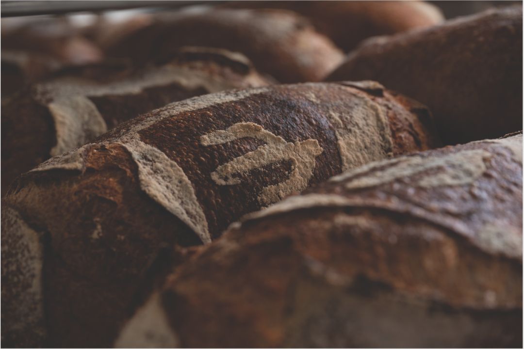 Barrio Bread