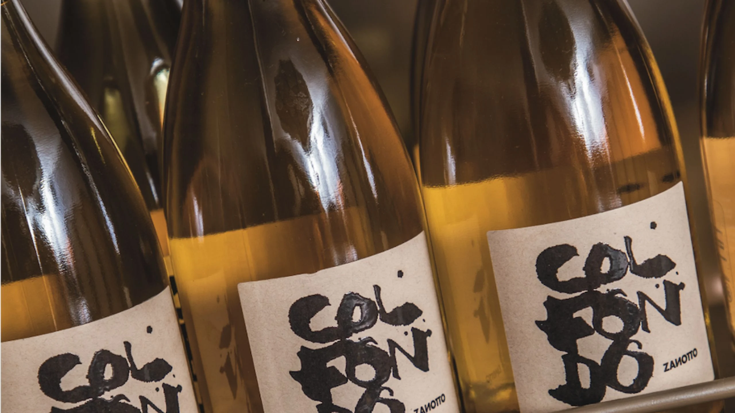 Tendencias 2024: ¿hacia dónde va el mundo del vino?