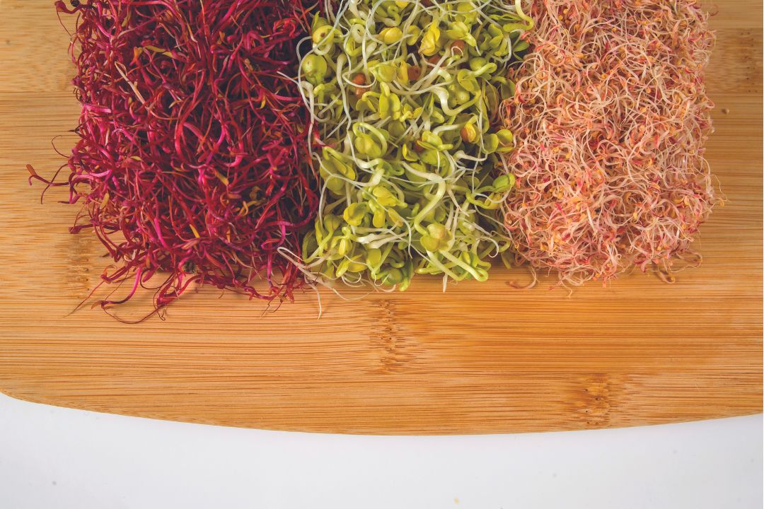 Súper alimentos para que el frío no te afecte
