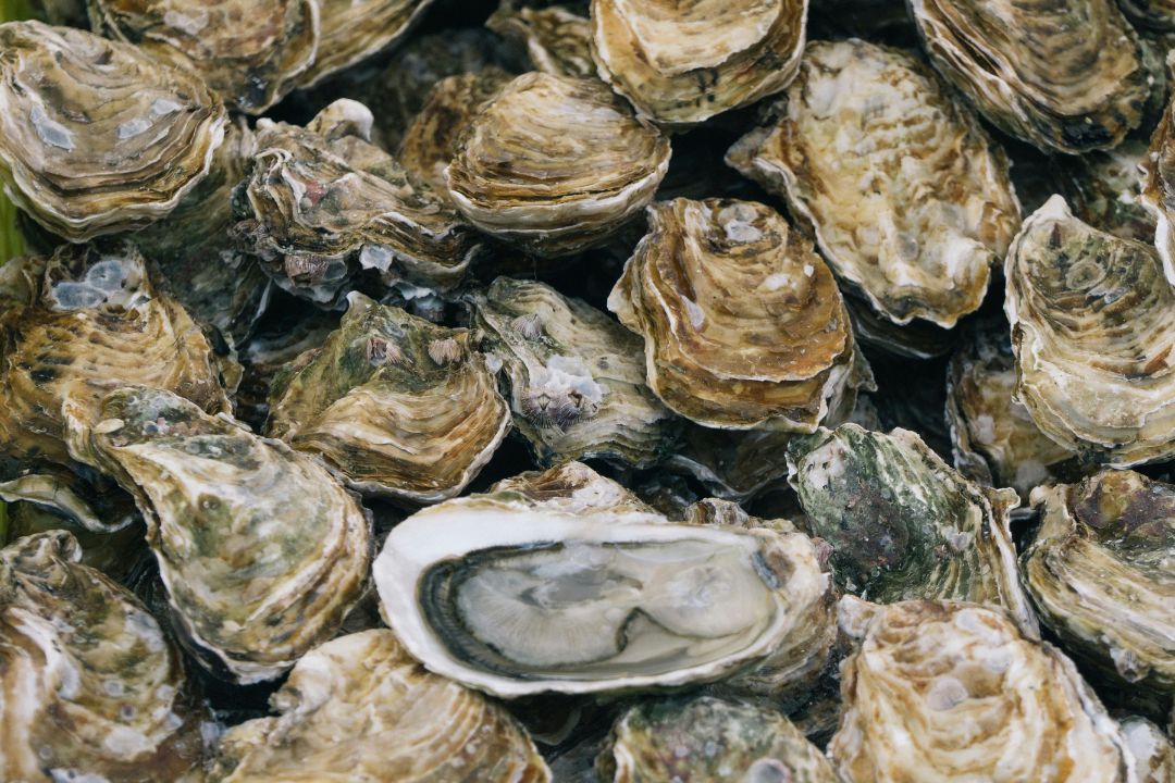 Ostras y una cena secreta en las Islas del Príncipe Eduardo