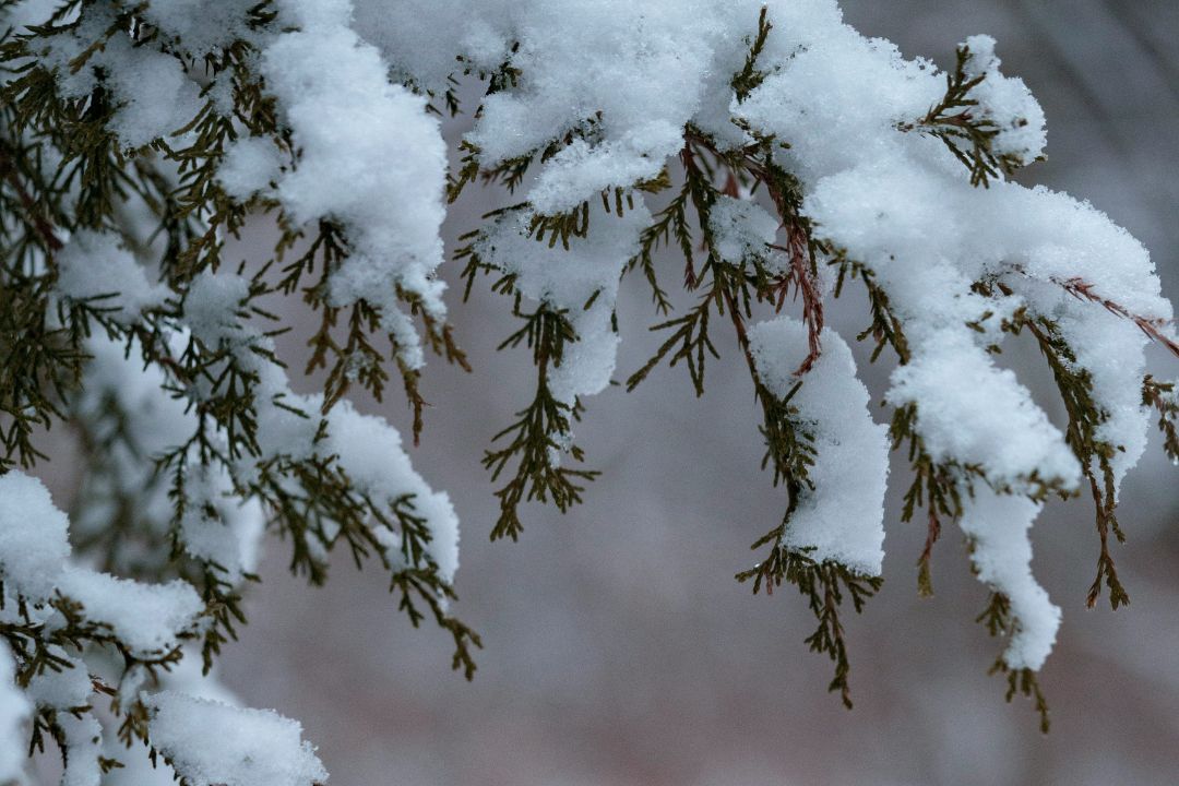 ¿Es seguro comer nieve? Esto dicen los expertos