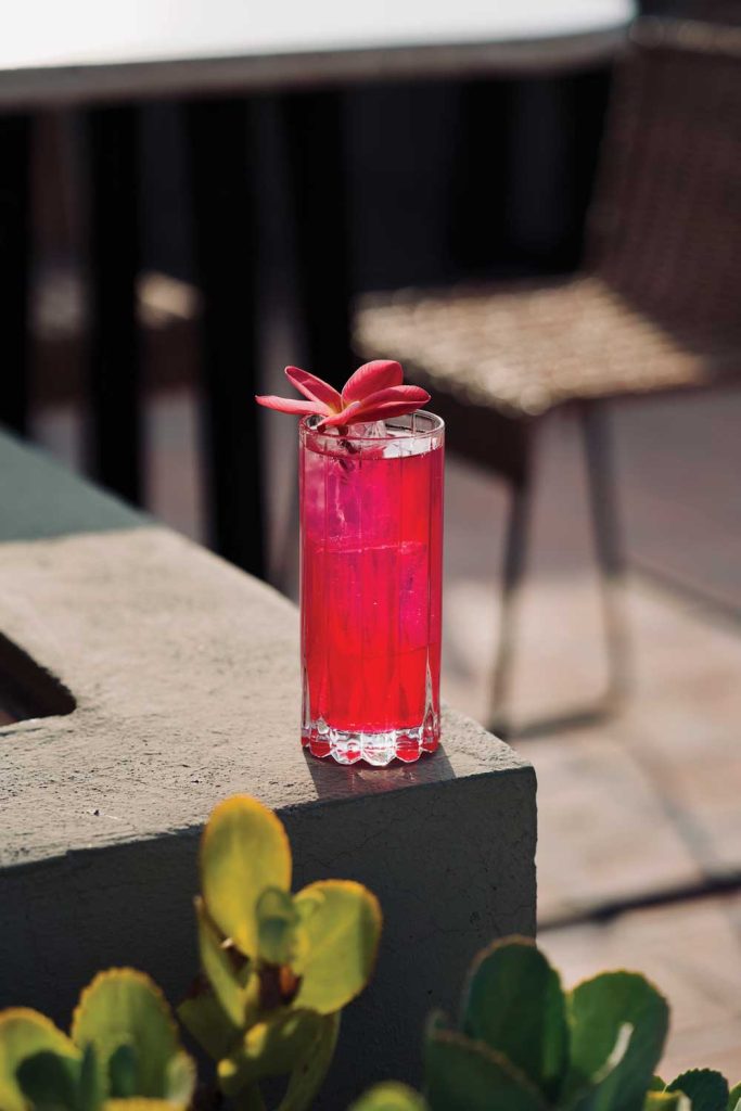 Coctel Garambullo, bar Bekeb