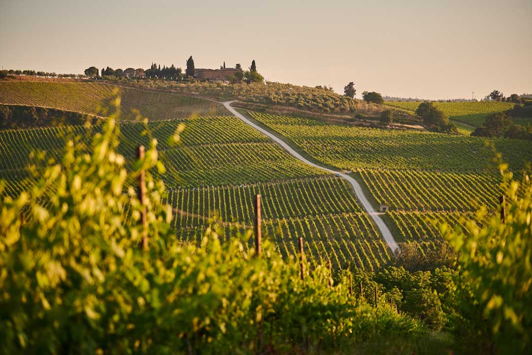 bodegas_remirez-de-ganuza