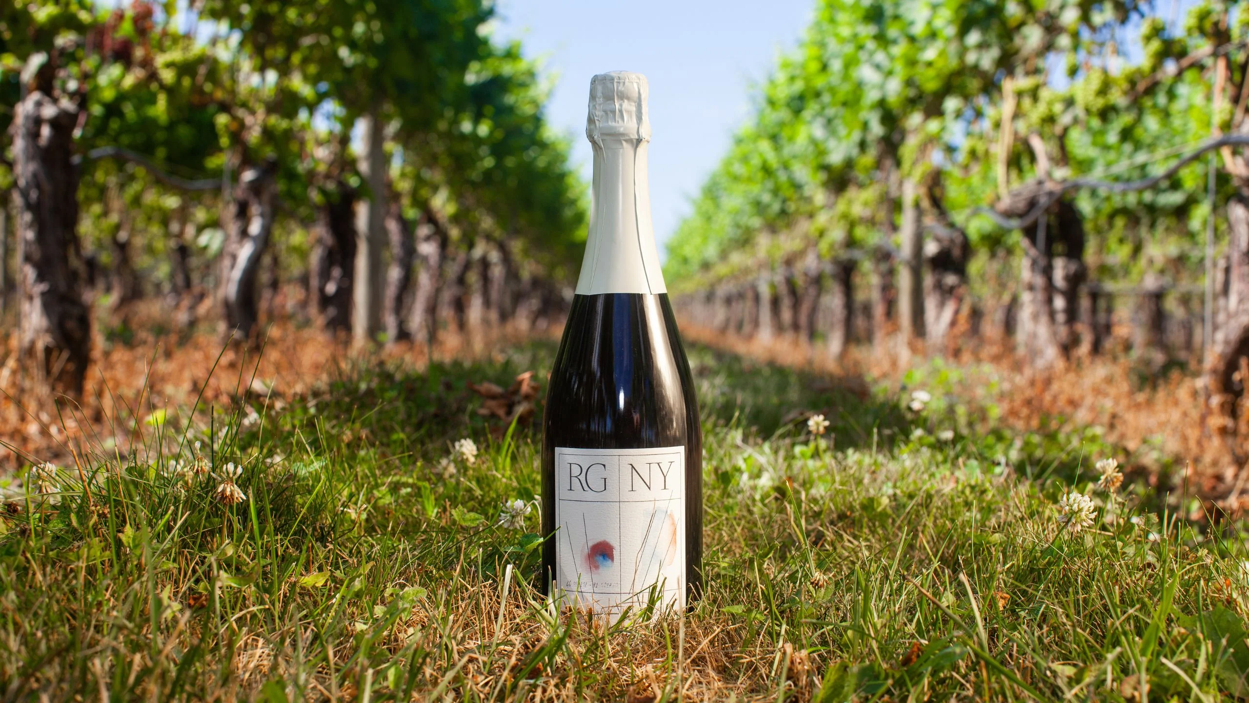 Rosé Sparkling Wine, RGNY, de Rivero González