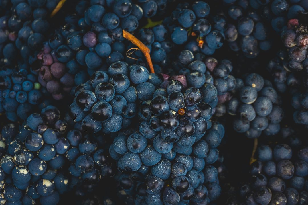 La región poco conocida que produce algunos de los mejores vinos italianos