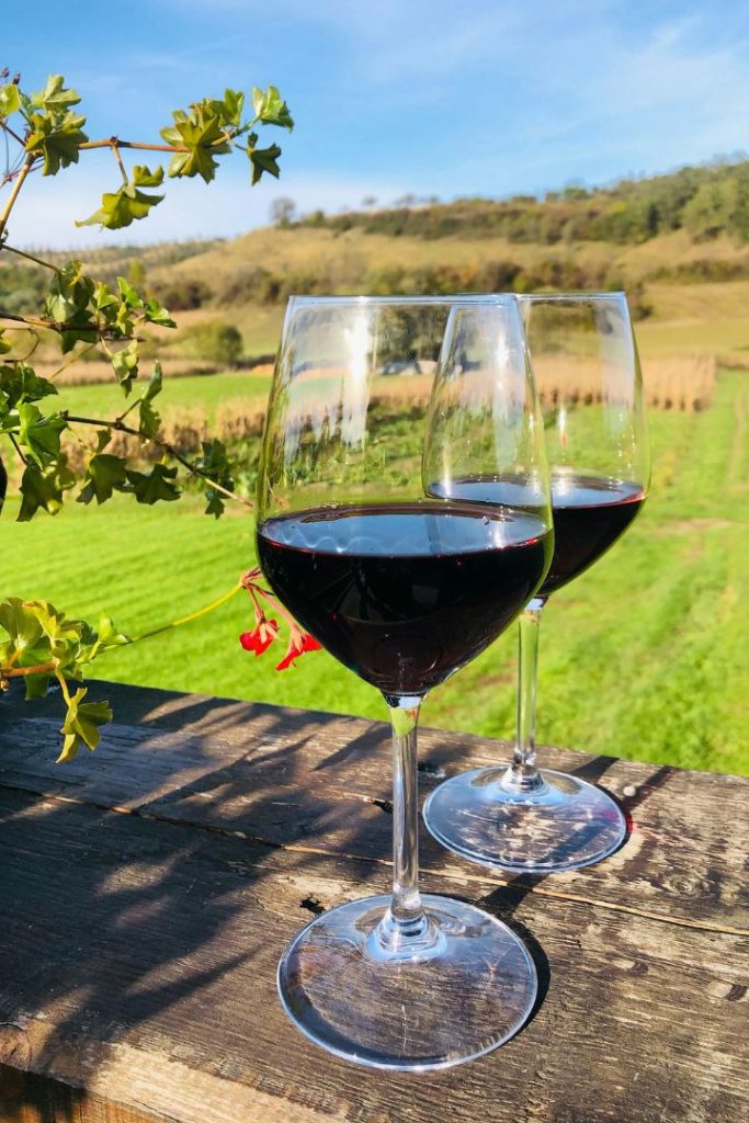 ¿Cuál es la diferencia entre Merlot y Pinot Noir?
