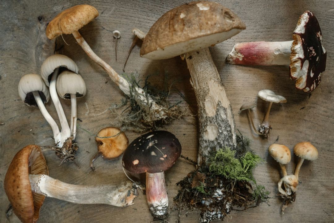 Estas son las formas más saludables de cocinar champiñones