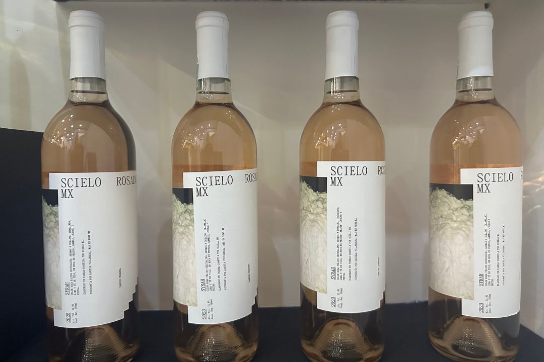 Scielo, una fusión entre vino y arte 