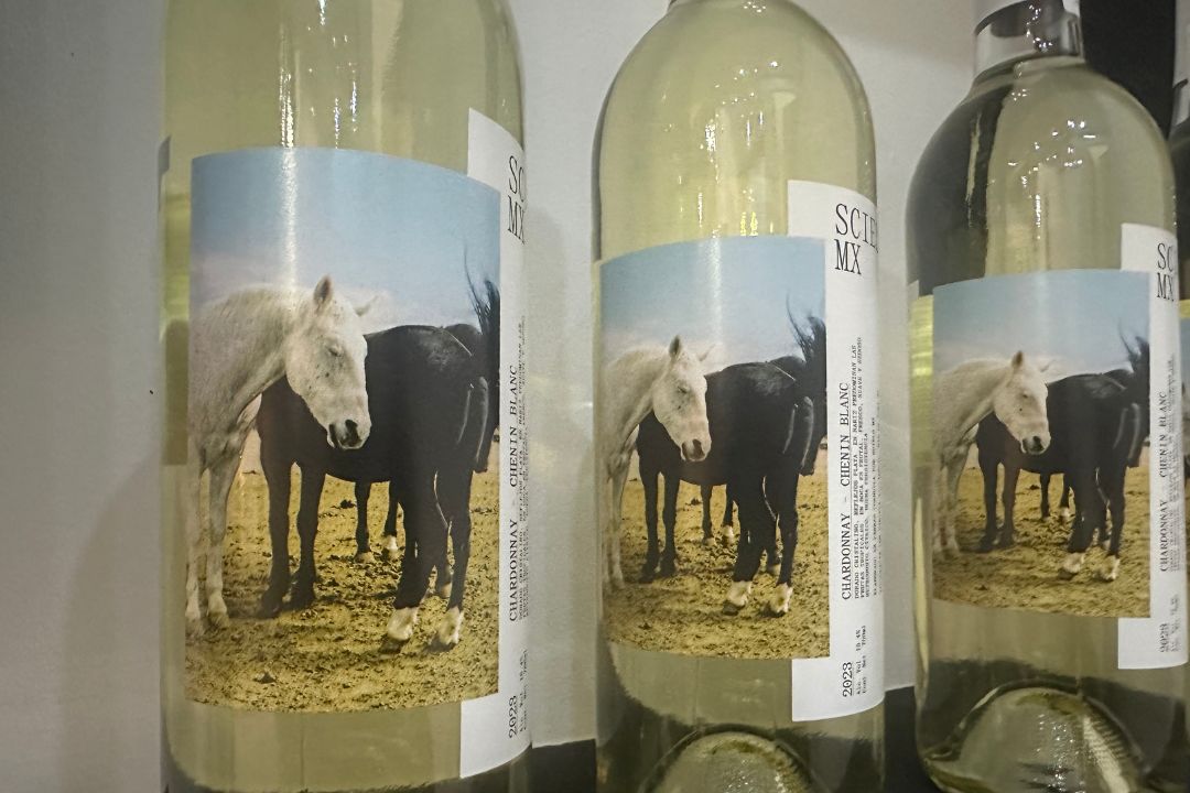 Scielo, una fusión entre vino y arte 