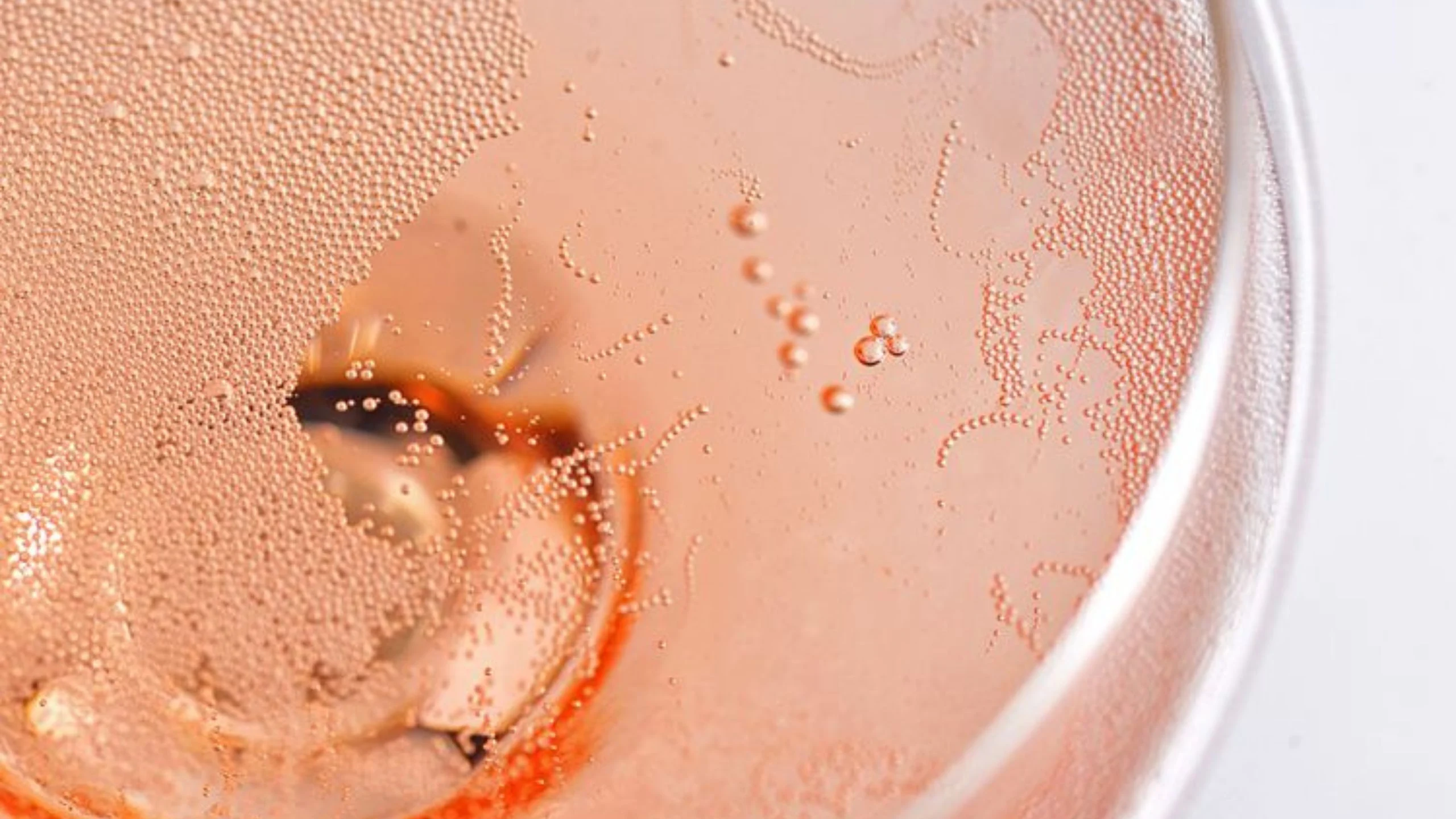 La diferencia entre Prosecco Rosé y Sparkling Rosé