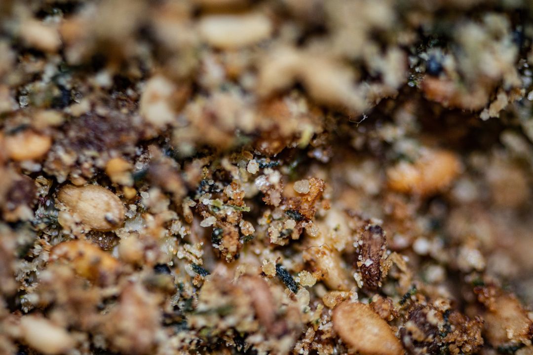 Una guía del Za'atar, la sabrosa mezcla de especias del Medio Oriente