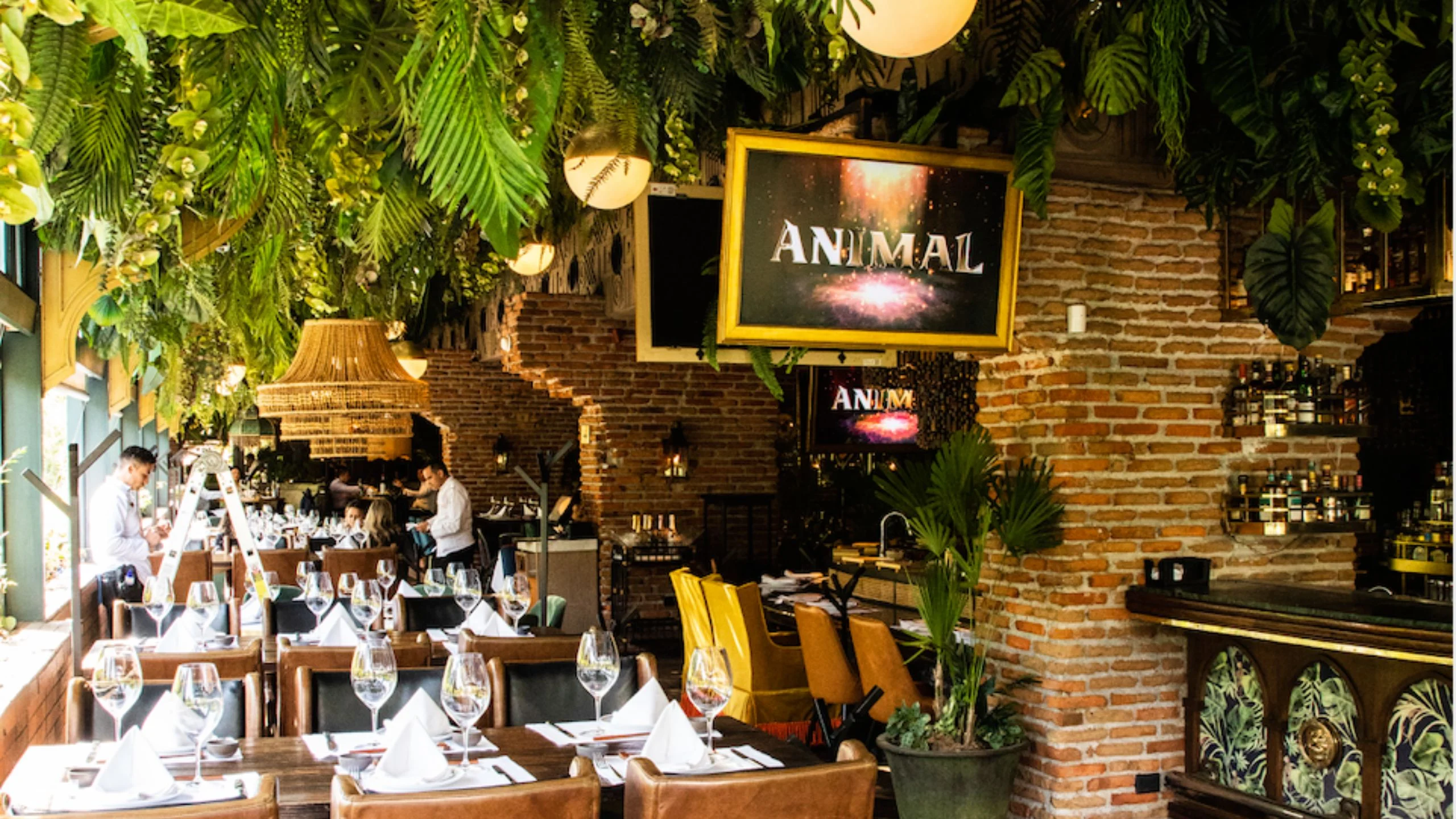 Animal® se convierte en uno de los indiscutibles de Polanco