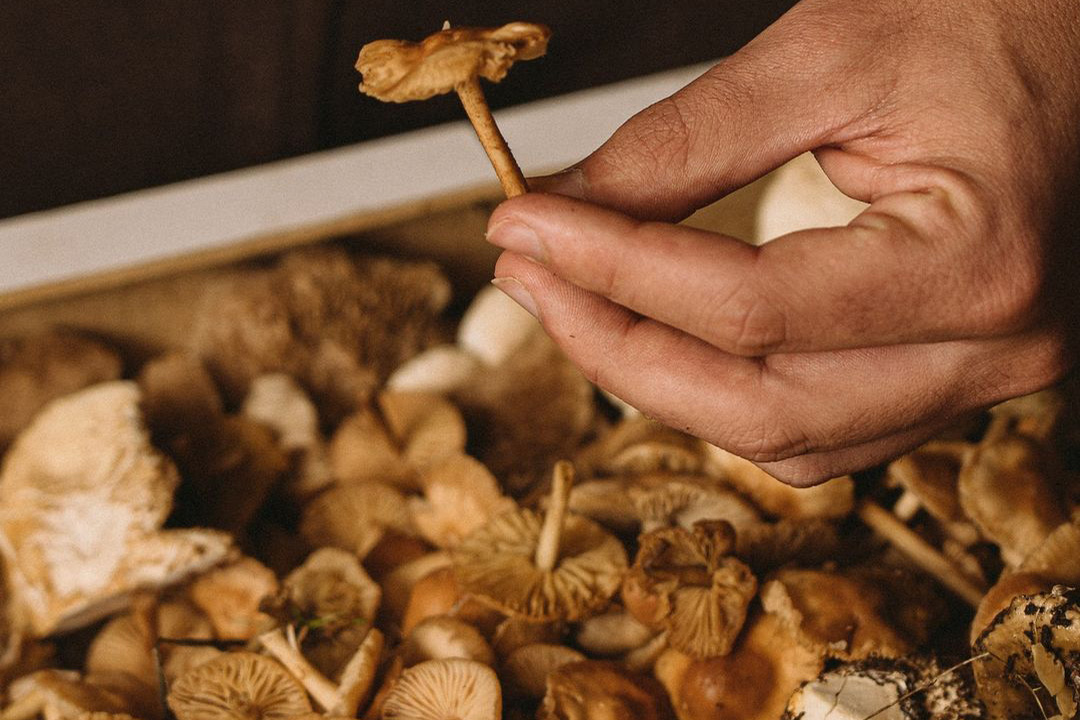 El restaurante de Ávila con platos tradicionales que fue galardonado por la Guía Michelin por su conciencia ecológica