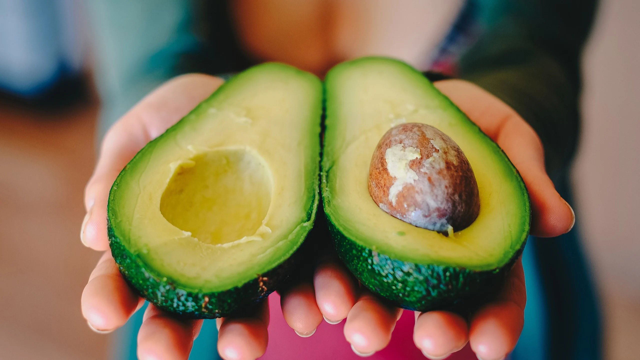Comer aguacate tiene muchos beneficios para la salud: 3 recetas mexicanas para aprovecharlos