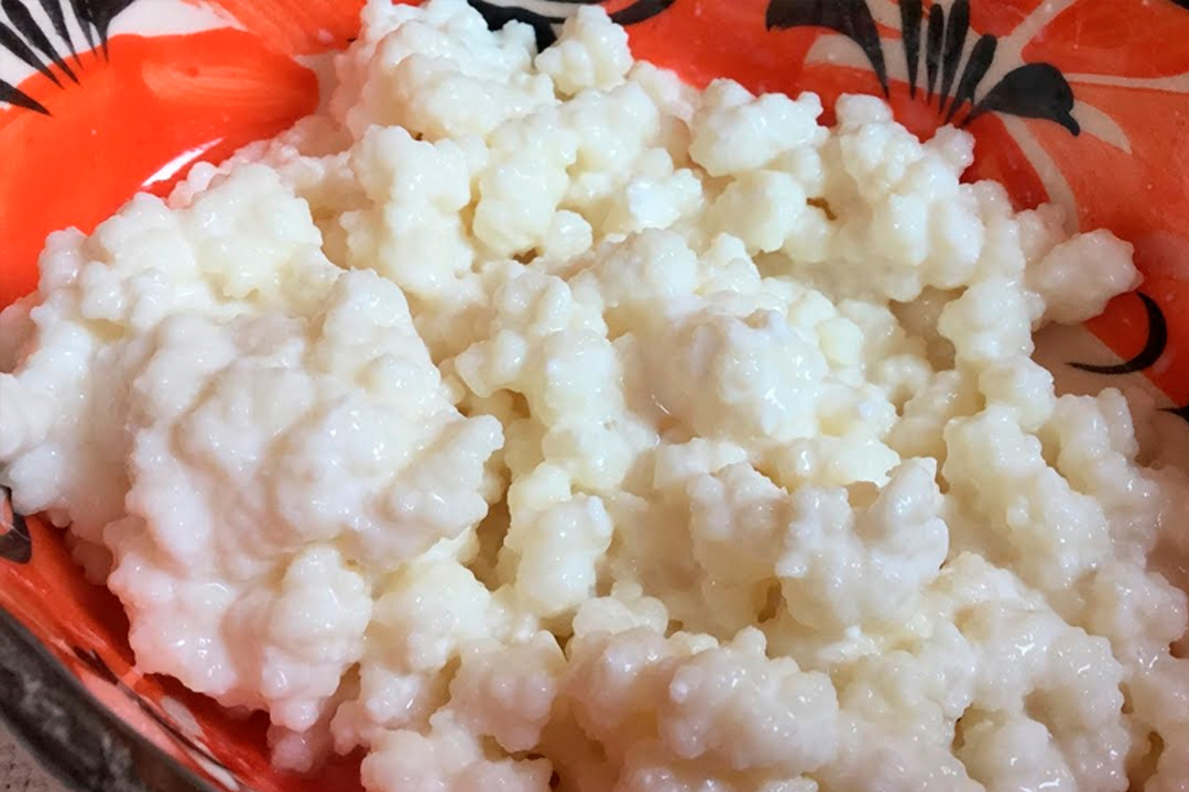 Por qué los búlgaros de leche son el mejor aliado de tu aparato digestivo y la mejor forma de prepararlos 