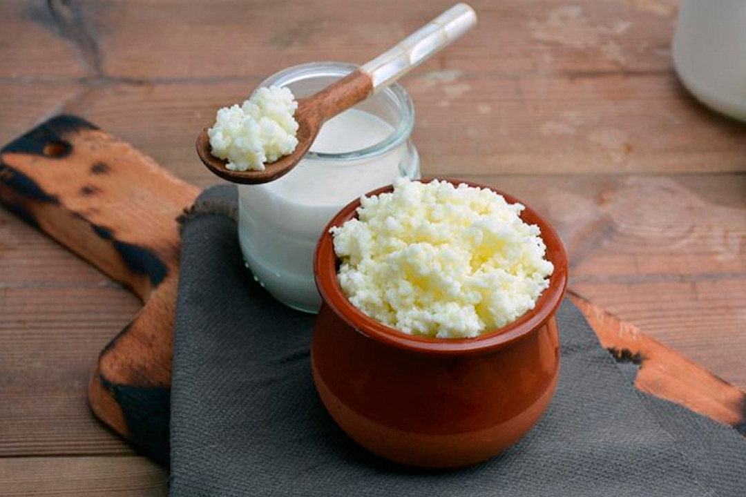 Por qué los búlgaros de leche son el mejor aliado de tu aparato digestivo y la mejor forma de prepararlos 