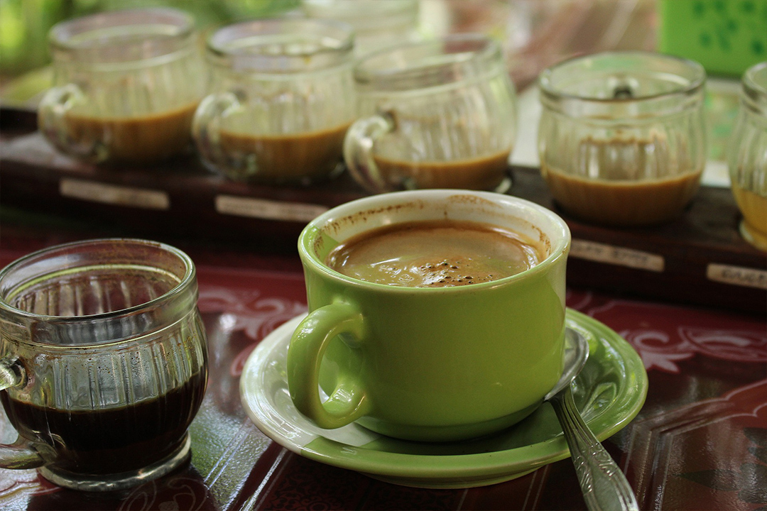 Qué es el café verde y cuáles son sus beneficios para la salud