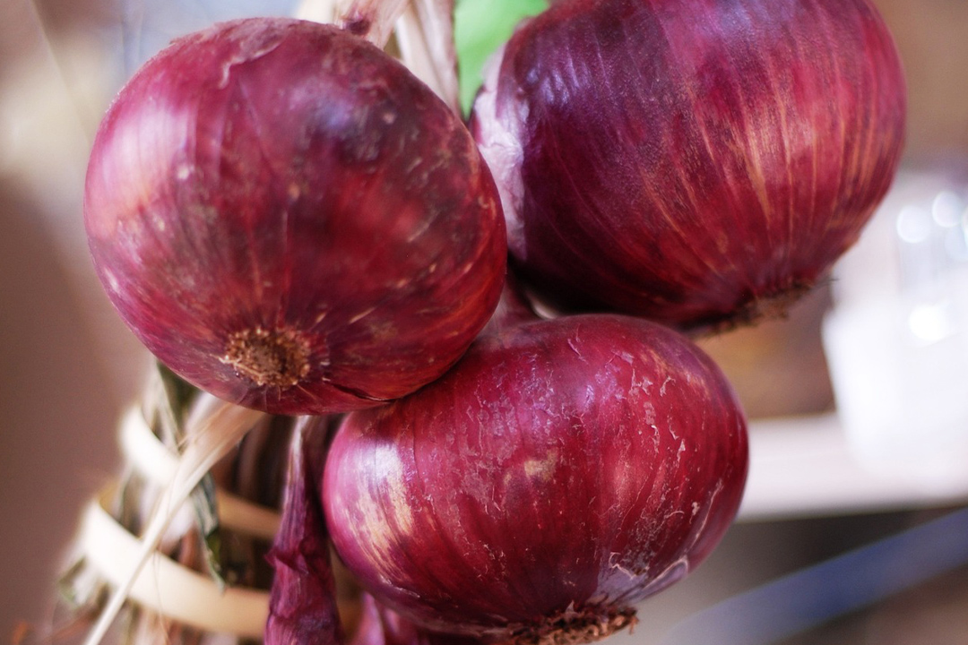 ¿Cebolla morada o blanca?: para qué sirve cada una en la cocina